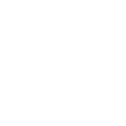 CYBRION